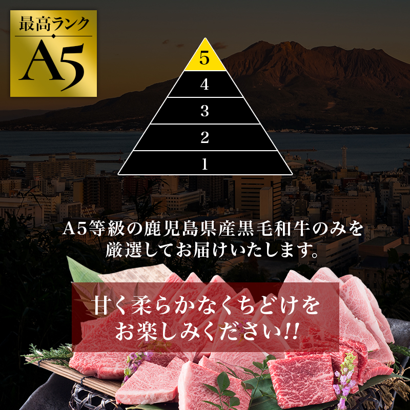 4-A-227 お肉本来の味が楽しめる！A5黒毛和牛赤身焼肉600ｇ